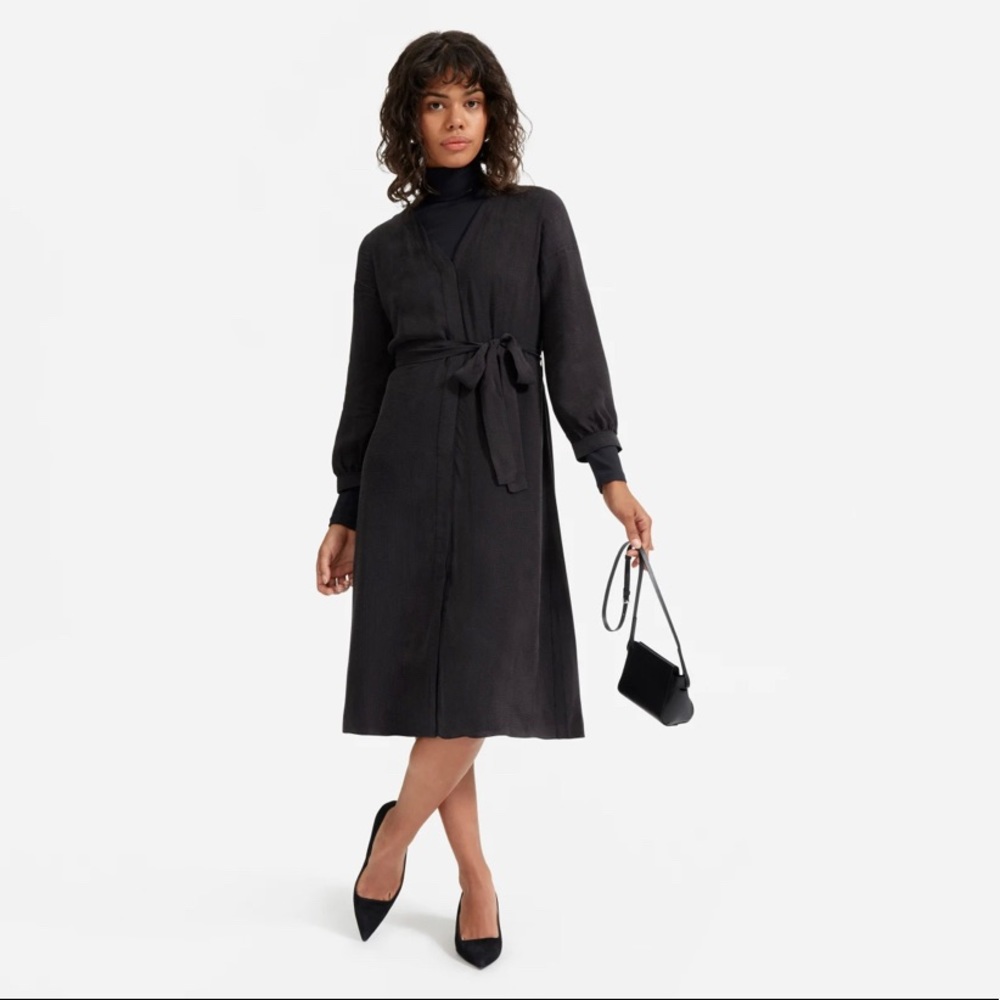 Everlane Cupro Dress